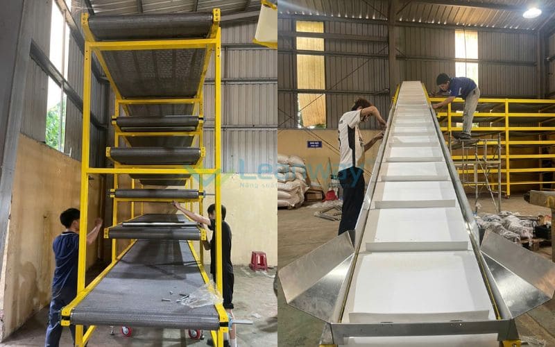 Hệ thống băng tải ứng dụng trong ngành nong nghiệp