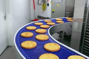 BĂNG TẢI THỰC PHẨM- AN TOÀN VÀ HIỆU QUẢ